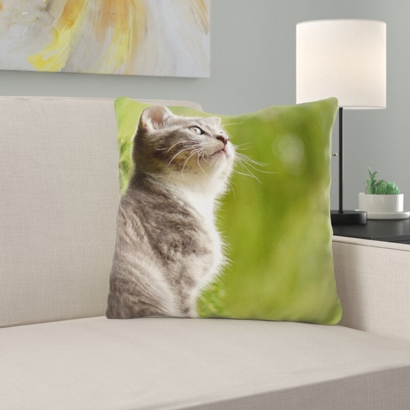 cat throw pillow covers